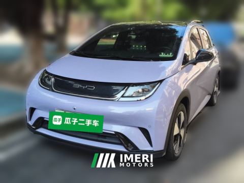 2023 BYD Dolphin 420km Stylish Edition - car from China