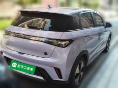 BYD Dolphin 420km Stylish Edition - ფოტო 4