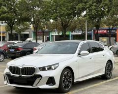 BMW 5 Series 525Li Luxury Package - photo 1