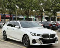 BMW 5 Series 525Li Luxury Package - photo 3
