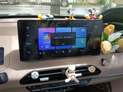 Geely Panda 200km - ფოტო 17