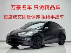 Tesla Model Y 554km Rear-Wheel Drive Edition - фото 1