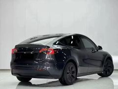 Tesla Model Y 554km Rear-Wheel Drive Edition - фото 17