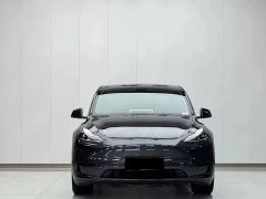 Tesla Model Y 554km Rear-Wheel Drive Edition - фото 2