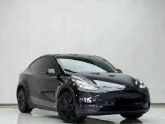 Tesla Model Y 554km Rear-Wheel Drive Edition - фото 3