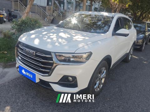 2021 Haval H6 Guochao Edition 1.5GDIT 2WD Champion Edition - car from China