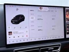 Li Auto L6 Max - ფოტო 9