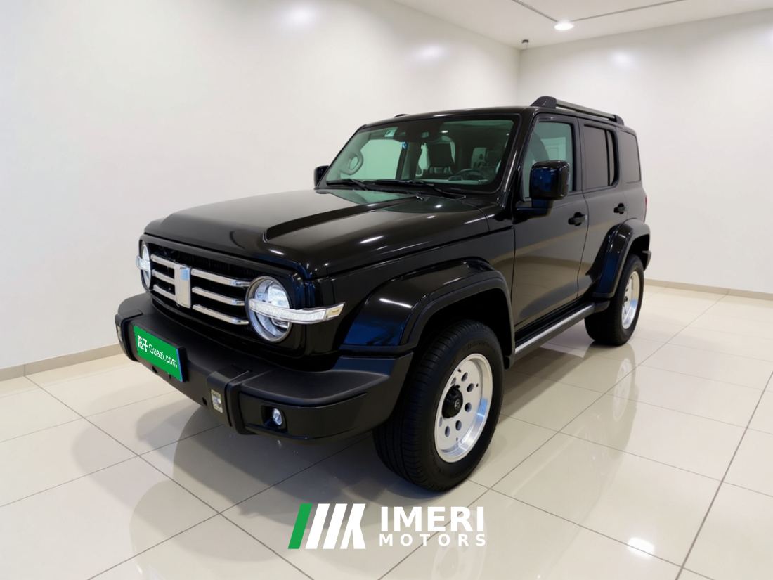 Tank 300 City Edition 2.0T Stylish - автомобиль из Китая