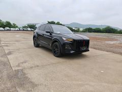 FAW Red Flag HS5 2.0T Two-Wheel Drive 600,000 Units Anniversary Edition - фото 3