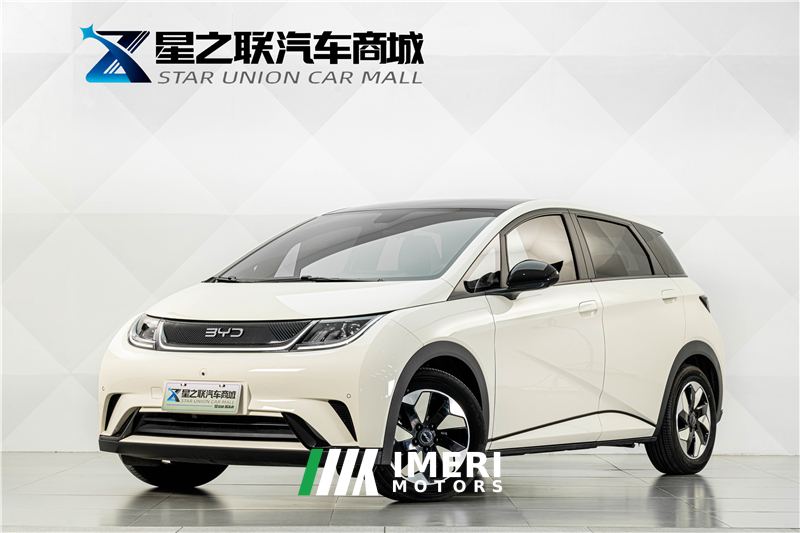 BYD Dolphin 420km Stylish Edition - ავტომობილი ჩინეთიდან
