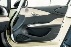 BYD Dolphin 420km Stylish Edition - ფოტო 16