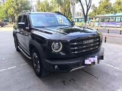 Haval Great Wall Big Dog Great Wall Dog 2.0T 4WD Chinese Garden Dog Edition - photo 3