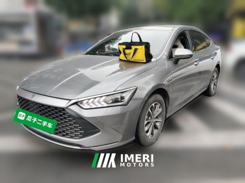 2024 BYD Qin PLUS DM-i Honor Edition 1.5L 55km Leading Edition