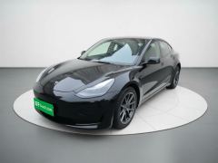 Tesla Model 3 556km Rear-Wheel Drive Edition - ფოტო 1