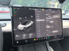 Tesla Model 3 556km Rear-Wheel Drive Edition - ფოტო 14