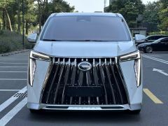 GAC Trumpchi E9 2.0T 136km Master - фото 1