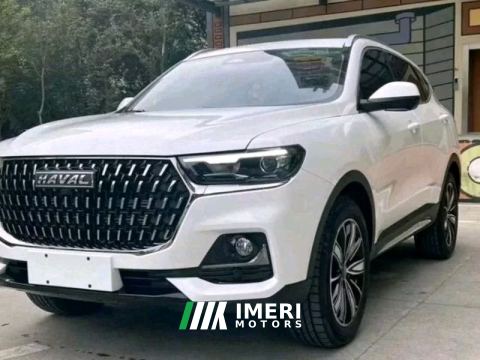 2025 Haval H6 Guochao Edition 1.5T 2WD Champion Edition - car from China