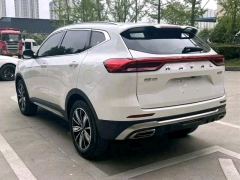 Haval H6 Guochao Edition 1.5T 2WD Champion Edition - ფოტო 12