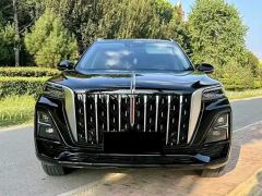 FAW Hongqi HS5 2.0T 2WD Banner Yue Pro Edition - фото 1