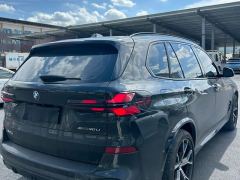 BMW X5 xDrive30Li Luxury Edition M Sport Dark Night Package - фото 8