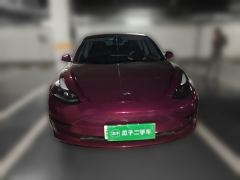 Tesla Model 3 556km Rear-Wheel Drive Edition - photo 2