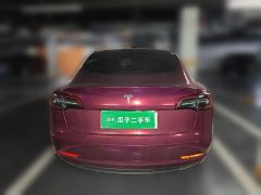 Tesla Model 3 556km Rear-Wheel Drive Edition - photo 5