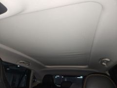 Roewe eRX5 1.5T Edition - ფოტო 19