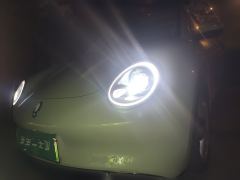 Ora Great Wall Good Cat 401km Prestigious Edition Lithium iron phosphate - фото 2