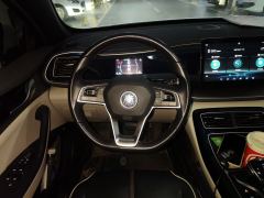 BYD Qin PLUS DM-i 55km Flagship - ფოტო 6
