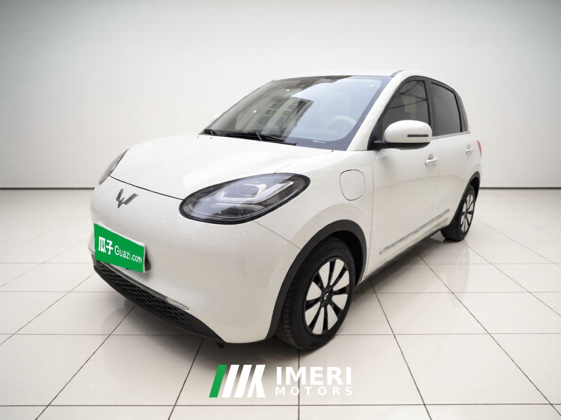Wuling Bingo Binguo 333km Joy Edition - car from China
