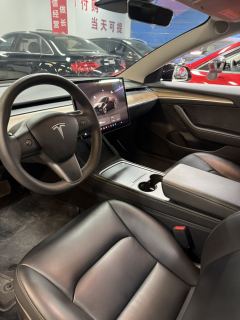 Tesla Model 3 556km Rear-Wheel Drive Edition - ფოტო 5
