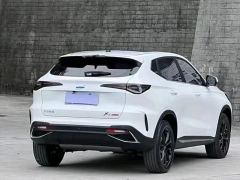 Oshan X5 PLUS 1.5T Pioneer - ფოტო 12