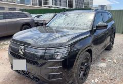 Volkswagen Teramont X Distinguished Edition 380TSI Four-Wheel Drive Long Yao Edition - photo 1