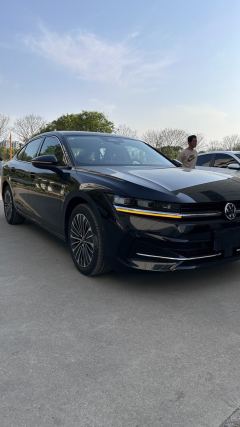 Volkswagen Magotan Edition 280TSI Version - ფოტო 2