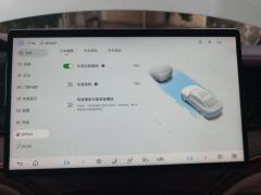 BYD Seal DM-i 1.5L 121km Prestigious Edition - photo 20