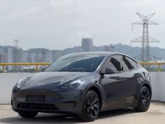 Tesla Model Y 554km Rear-Wheel Drive Edition - фото 1