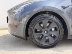 Tesla Model Y 554km Rear-Wheel Drive Edition - фото 11
