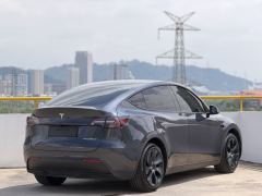 Tesla Model Y 554km Rear-Wheel Drive Edition - фото 4