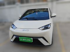 BYD Seagull Honor Edition 305km Free Version - ფოტო 2