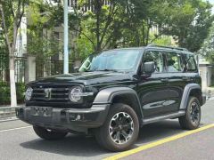 Tank 300 2.0T Conquistador Gasoline - ფოტო 2
