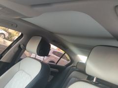 Volkswagen Magotan 2 Million Edition 330TSI Luxury Edition - photo 15