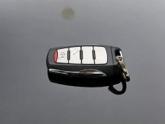 Haval Big Dog 2022 1.5T DCT two-wheel drive Border Collie version - photo 19