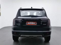 Haval Big Dog 2022 1.5T DCT two-wheel drive Border Collie version - photo 4