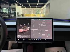 Tesla Model 3 606km Rear-Wheel Drive Edition - ფოტო 10