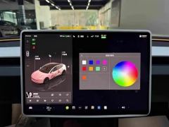Tesla Model 3 606km Rear-Wheel Drive Edition - ფოტო 9