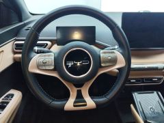 BYD Seagull 305km Free Version - photo 18