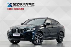 BMW X4 xDrive25i M Sport Package - фото 1