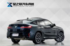 BMW X4 xDrive25i M Sport Package - фото 6