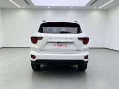 Haval Big Dog PLUS 2.0T Two-Wheel Drive Trendy Wilderness Edition Plus - photo 10
