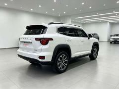 Haval Big Dog PLUS 2.0T Two-Wheel Drive Trendy Wilderness Edition Plus - photo 11